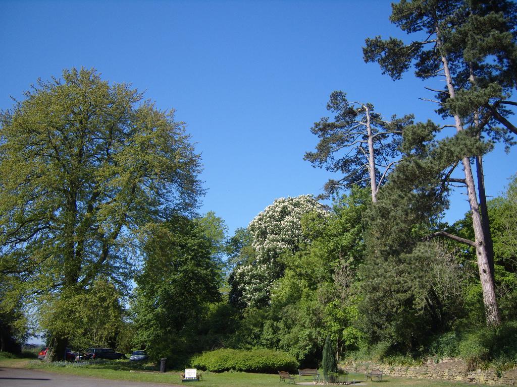 Cleeve House Bed & Breakfast Melksham Bilik gambar